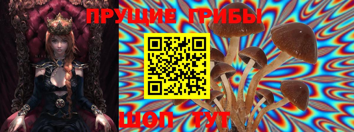 Каменск-Уральский  Псилоцибиновые грибы GOLDEN TEACHER  Псилоцибиновые грибы MAGIC MUSHROOMS  Вход с VPN 